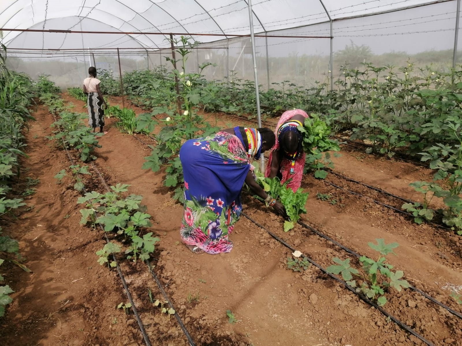 Agricultural Training & Empowerment